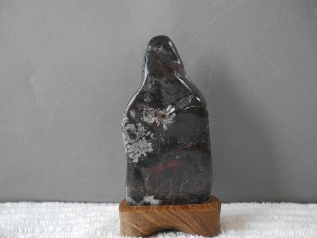 岐阜県　根尾産　菊花石　黒系母岩　小花１３輪ほど