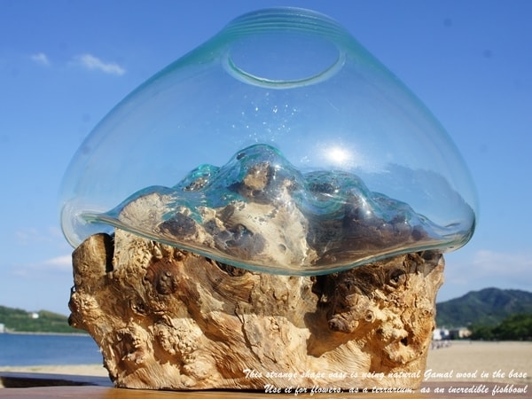 花瓶 アクアリウム 金魚鉢 選べる バリ島 流木ガラスオブジェ 流木 