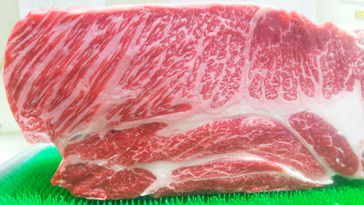 【岡山県産 特選 黒牛 肩ロース(ハネシタ)２.５kg】ステーキ、焼肉