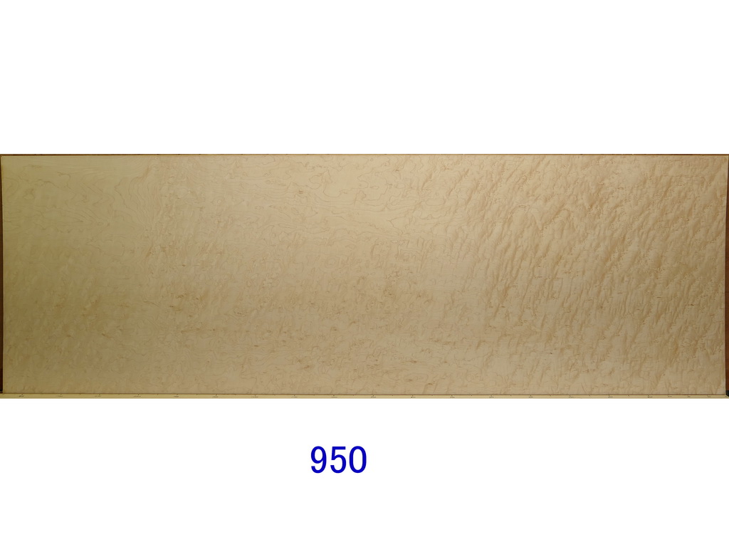 x484815621.2