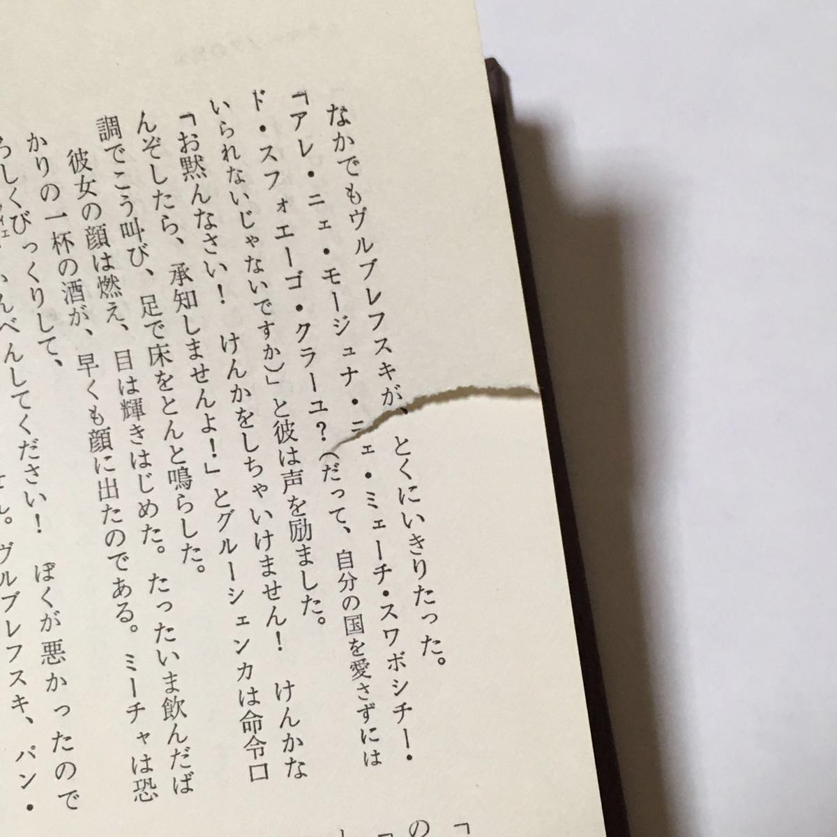 ドストエフスキー全集 全20巻+別巻 ドストエフスキー全集 全20巻