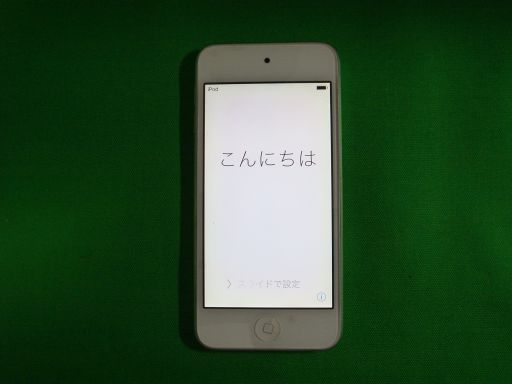 t519524025.2