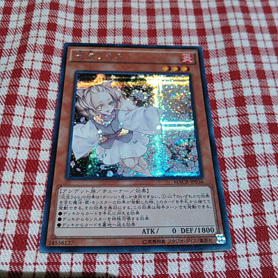 w168534024.1