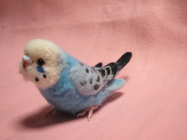 リアル セキセイインコ 中雛 オパーリン オーダー品 リアル セキセイ