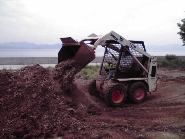 農家直送。農薬無使用わけありミカン。１０キロ。家庭用_2