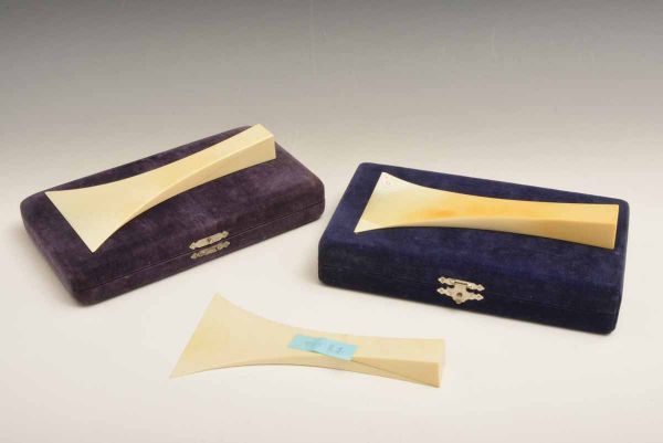 B13679　本牙　撥3本　アフリカ牙計366ｇ (本物保証)