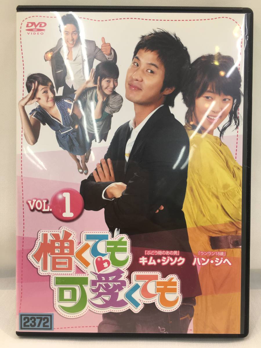 韓国ドラマ キム・ジソク ハン・ジヘ主演 『憎くても可愛くても』 DVD全42