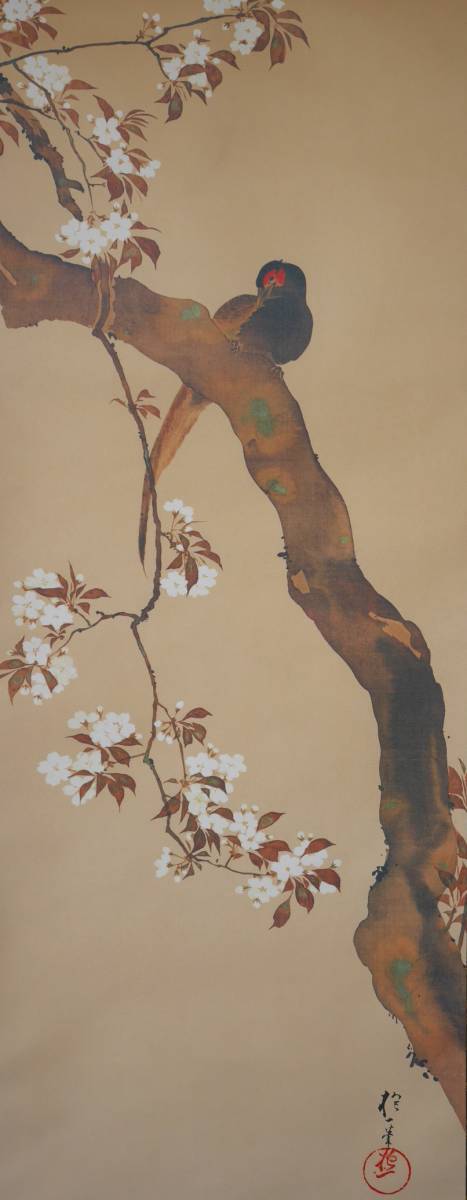 ☆【酒井抱一】桜花雉子図○絹本復刻画・共箱付 花鳥工芸画掛軸 【公式