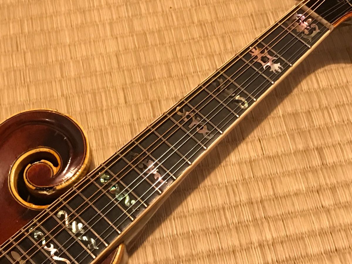 現状渡し】Gibson F-5 