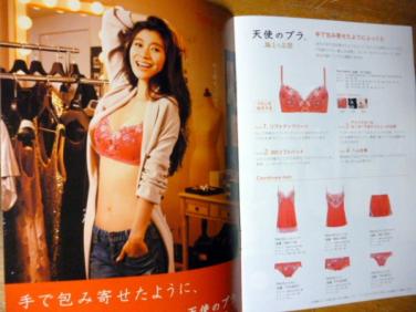 篠原涼子 トリンプ15秋 下着カタログ 篠原涼子 売買されたオークション情報 Yahooの商品情報をアーカイブ公開 オークファン Aucfan Com