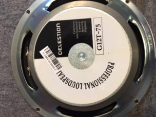 人気SALE，新作 CELESTION G12T-75 16&Omega; 2個セット(キャビネット)｜売買されたオークション情報、yahooの商品情報をアーカイブ公開 - オークファン ギターアンプ