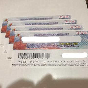 スパリゾートハワイアンズ 入場券 ハワイアンズ 2枚セット 〜3⁄31 施設 