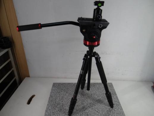 m293024890.1