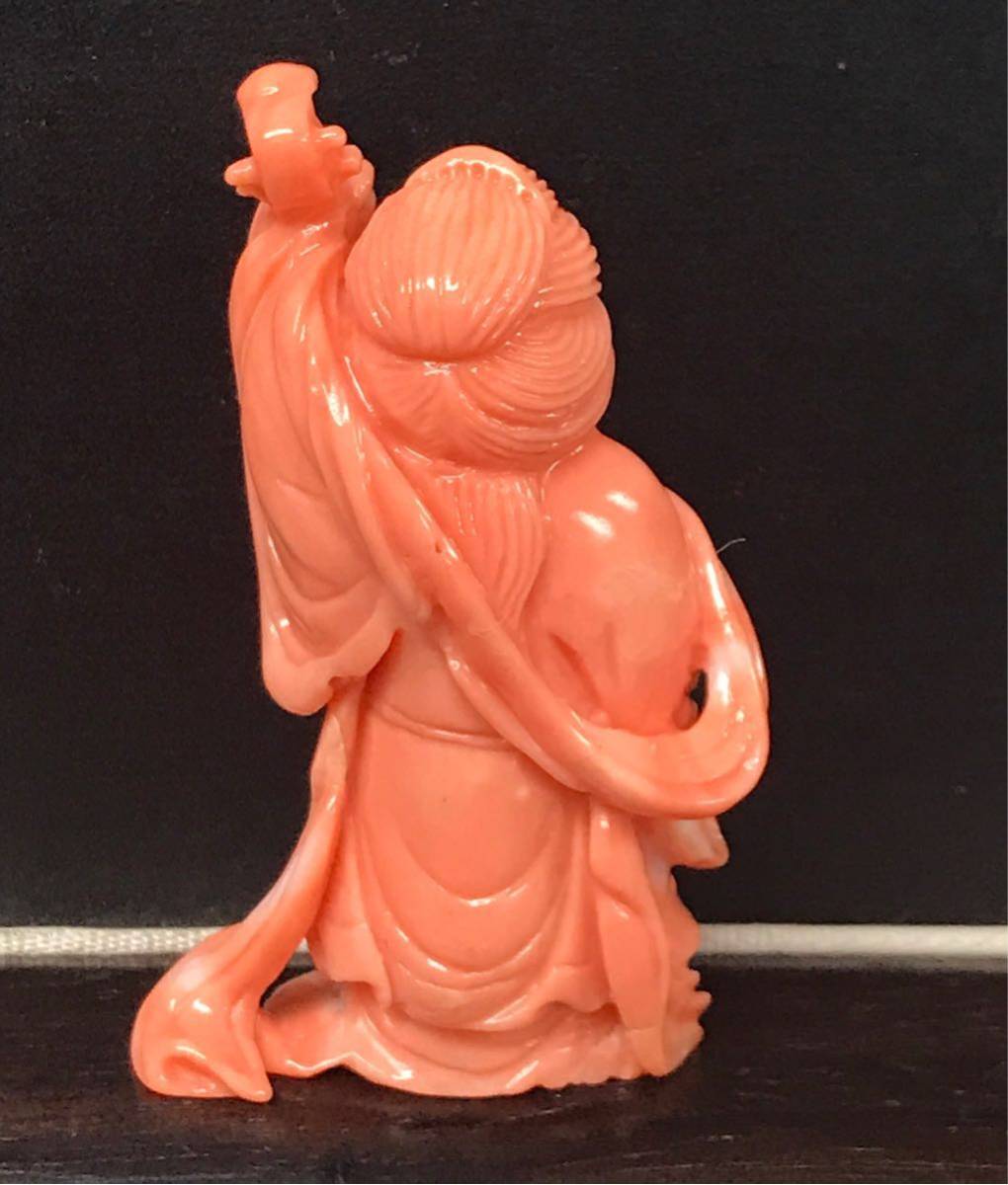 桃珊瑚彫刻-海老 297KN 桃珊瑚彫刻-海老 297KN 桃珊瑚彫刻-海老 本珊瑚