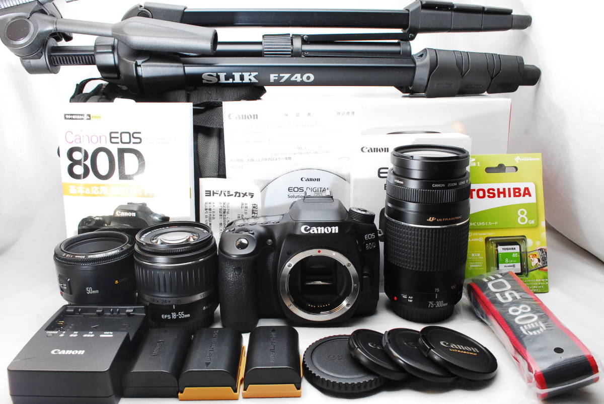 ☆ほぼ新品☆ Canon キャノン EOS 80D 純正超望遠ダブルレンズ ☆ほぼ新品☆ Canon キャノン EOS 80D 純正超望遠ダブルレンズ