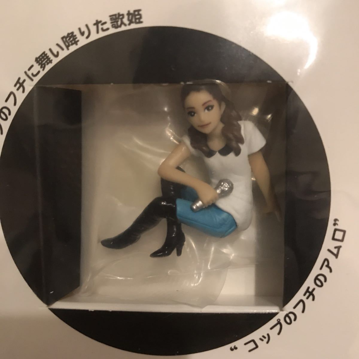 安室奈美恵 LIVE STYLE 2014 パンフレット 「コップのフチのアムロ」（ナミ子さん）フィギュア フチ子 フチコ ナミコ DVD 会報 Finally