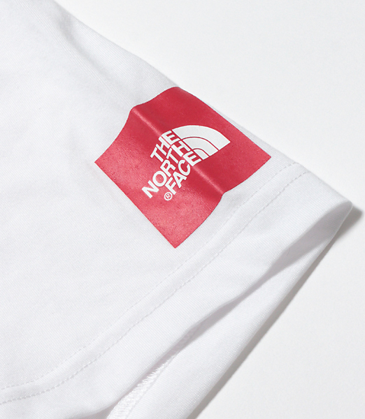 The North Face OSHMAN’S 別注　オッシュマンズ　ノースフェイス　テックポケットティー　XL beams 