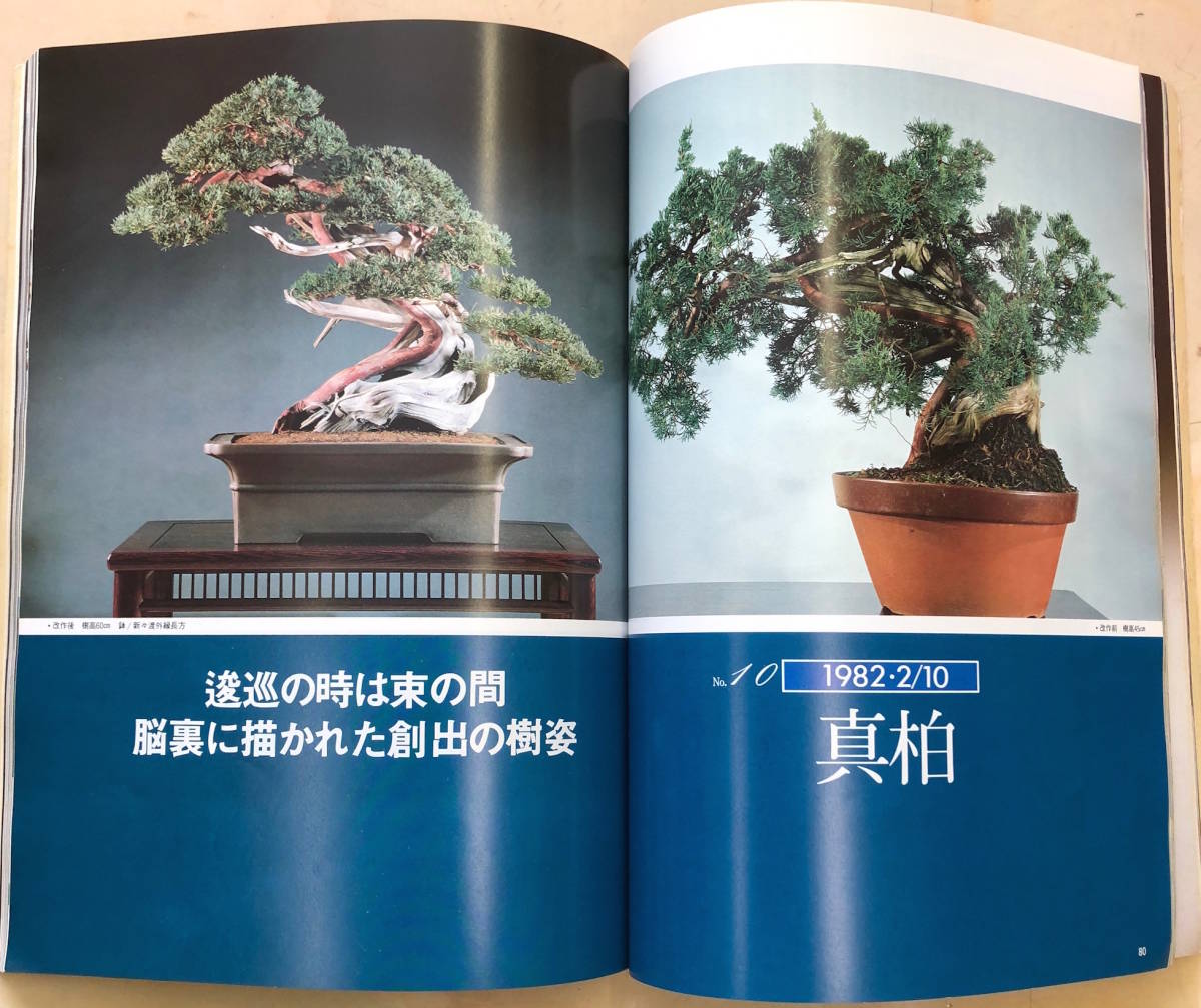 木村正彦の世界 現代盆栽技術の真髄 現代盆栽技術の - Part1,2,3