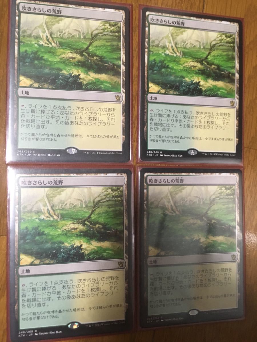 MTG 吹きさらしの荒野 日本語版 1枚 MTG 吹きさらしの荒野 日本語 4枚 【公式通販】