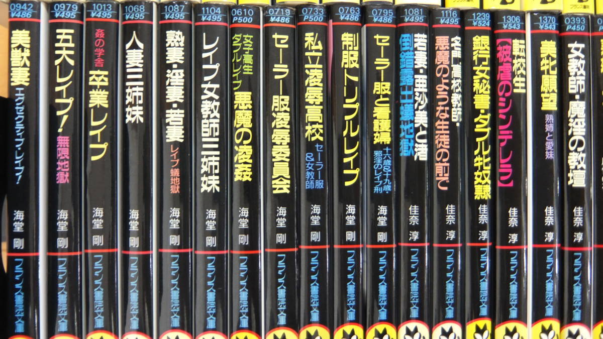 フランス書院文庫】 計113冊 夢野乱月 / 御堂乱 / 海堂剛 / 佳奈淳 / 館