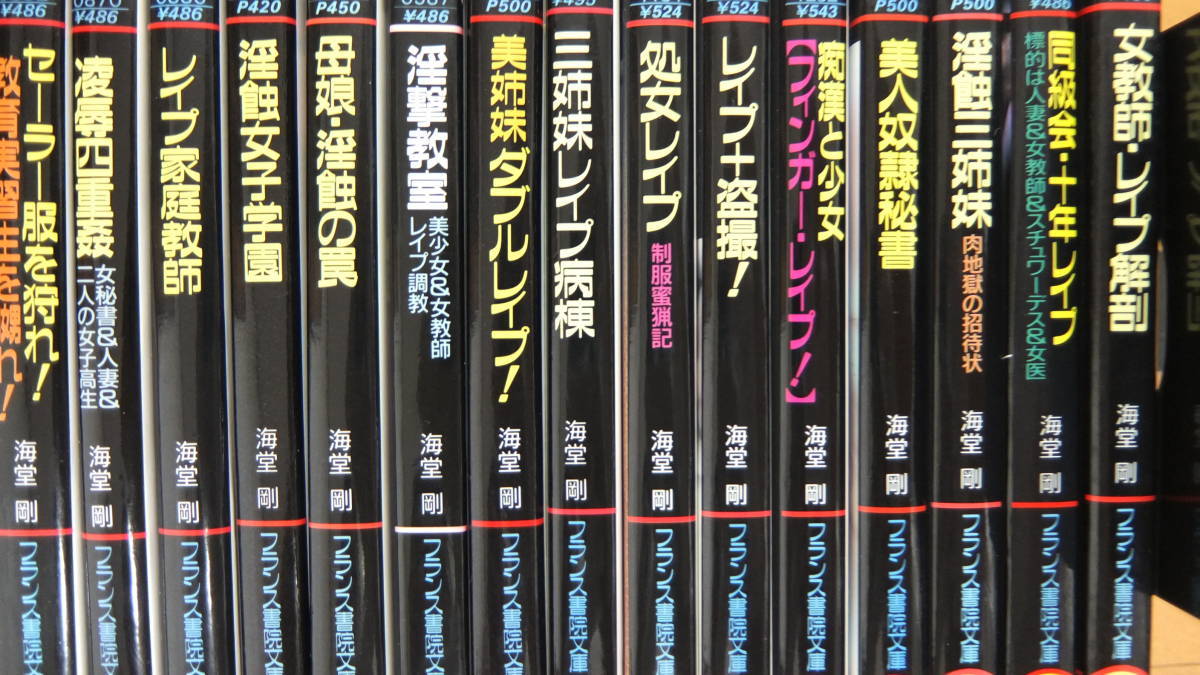 フランス書院文庫】 計113冊 夢野乱月 / 御堂乱 / 海堂剛 / 佳奈淳 / 館