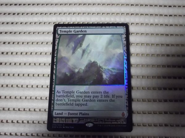 Garden MTG 寺院の庭 Temple 寺院の庭⁄Temple ⁄ EXP 英語版 Foil