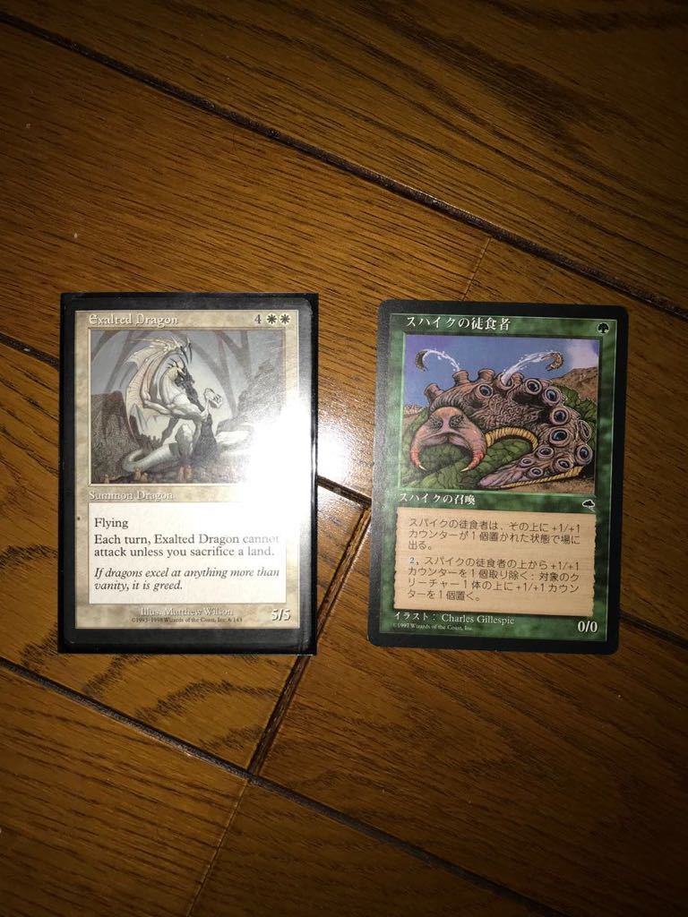 MTG マスティコア レア キラ まとめ売り マスティコア レア MTG ⁄ 買取