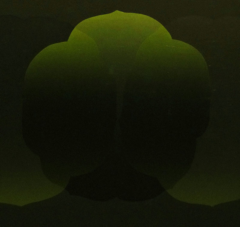 井上公三 シルクスクリーン 井上公三「LES 絵画買取 GRANDES ECLOSIONS
