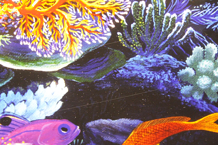 キモ 銀 海 ドルフィン イルカ 50×40cm 40×50cm アートパネル 水晶パネル 絵画 イルカ シルクスクリーン ドルフィンアイランド 絵画