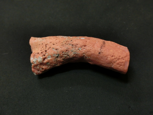 459 美品 赤 珊瑚 原木 枝 重量67g