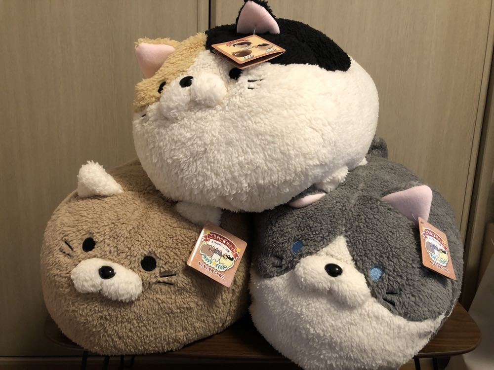 ごろねこサミット おうち代表もこもこ会議 【3種セット】 【公式通販】