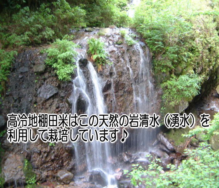 ☆農家直送☆大分高冷地棚田米 ひとめぼれ☆限定12☆減