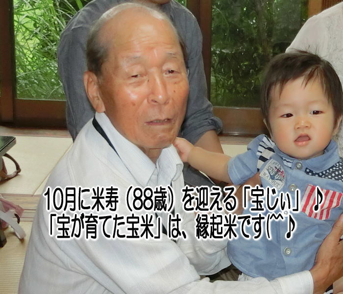 ☆農家直送☆大分高冷地棚田米 ひとめぼれ☆限定12☆減