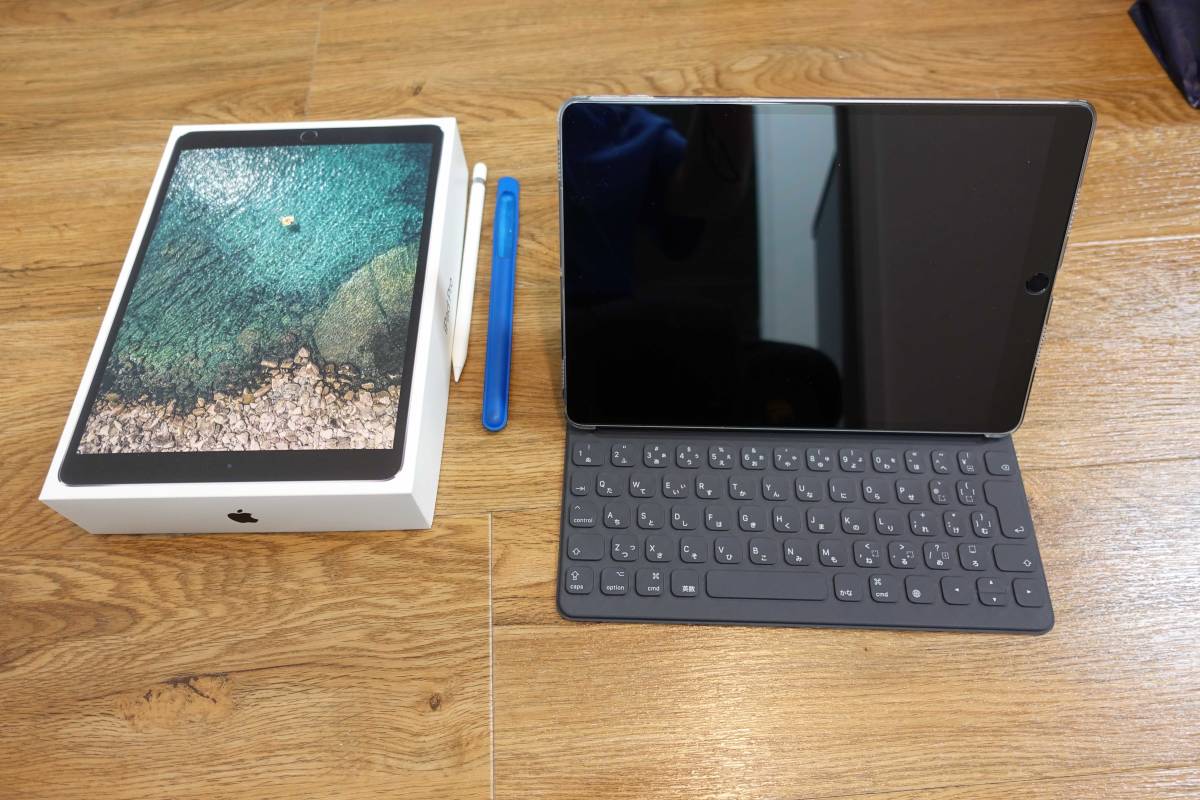 iPad iPad Pro 10.5インチ 256GB スペースグレー Cellular sim free