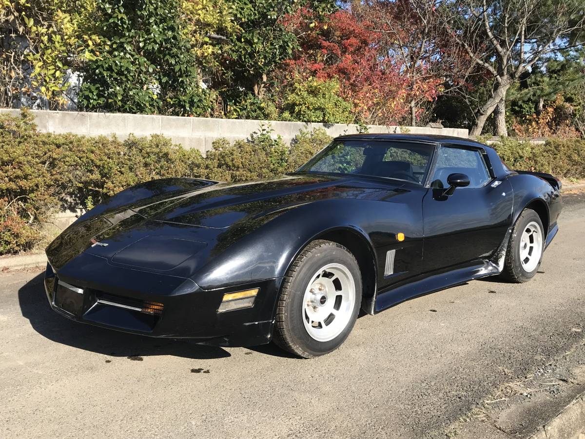 C3 1981年式 73年式のStingrayをレストアします。C3特有のアドバイスは 