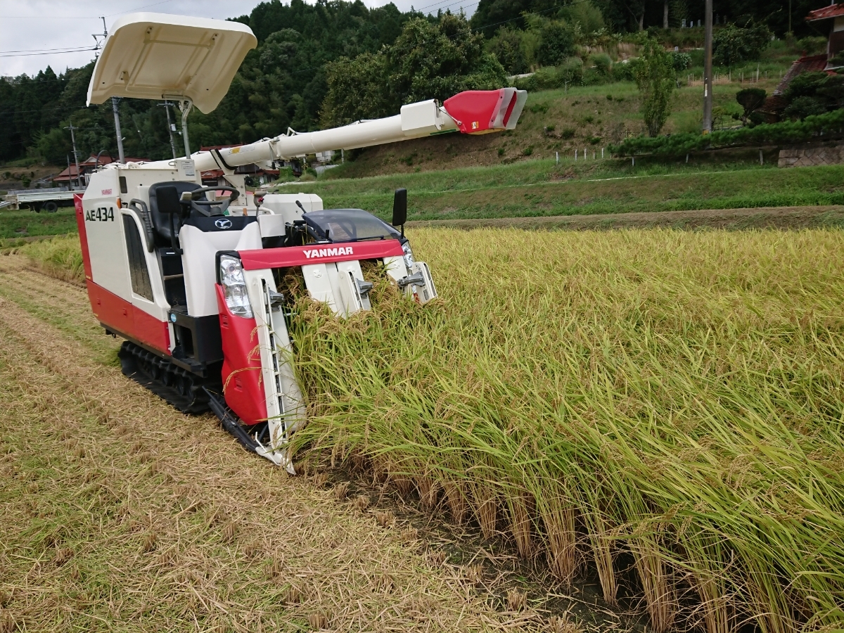 玄米 30kg 秋田県産 あきたこまち 令和7年産 : 米 ふるさと納税サイト 