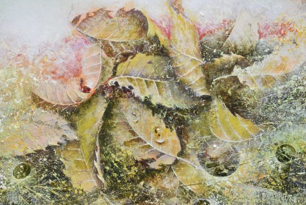服部正一郎 霞ヶ浦日本画 服部正一郎 画集 筑波山 油絵 霞ヶ浦 水郷 茨城県竜ケ崎市 二科会 洋画