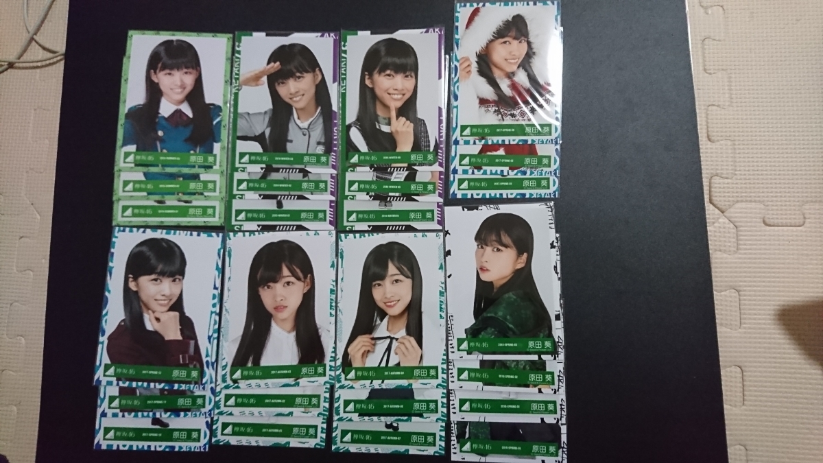 欅坂けやき坂櫻坂46 生写真 コンプ
