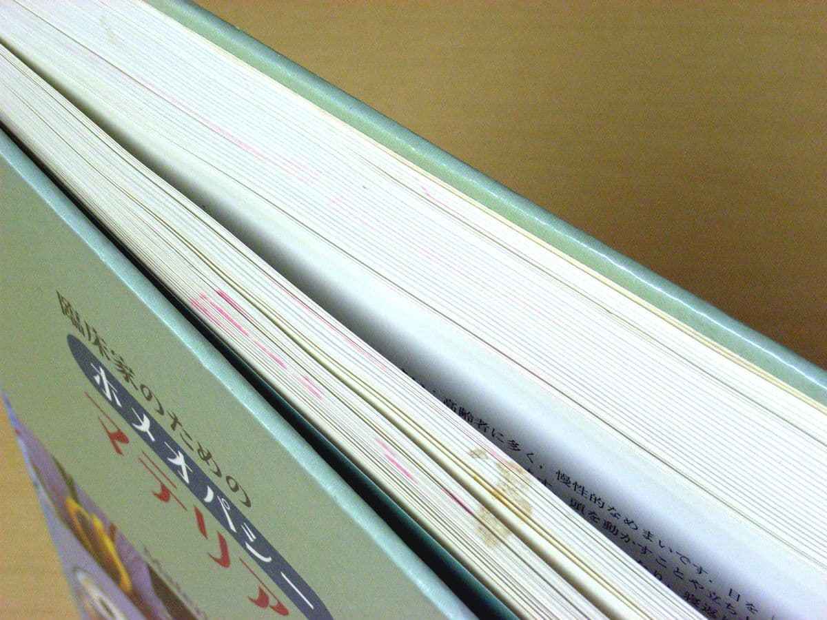 森井 新・臨床家のためのホメオパシーマテリアメディカ 啓二 マテリア 
