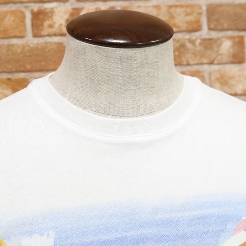 春夏/VAGIIE/50(XL)サイズ/半袖カットソー 風景柄スプレー調プリント UVカット 丸首 日本製 高級 大人 Tシャツ 新品/白/ホワイト/m290/