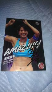 浅尾美和のYahoo!オークション(旧ヤフオク!)の相場・価格を見る｜Yahoo