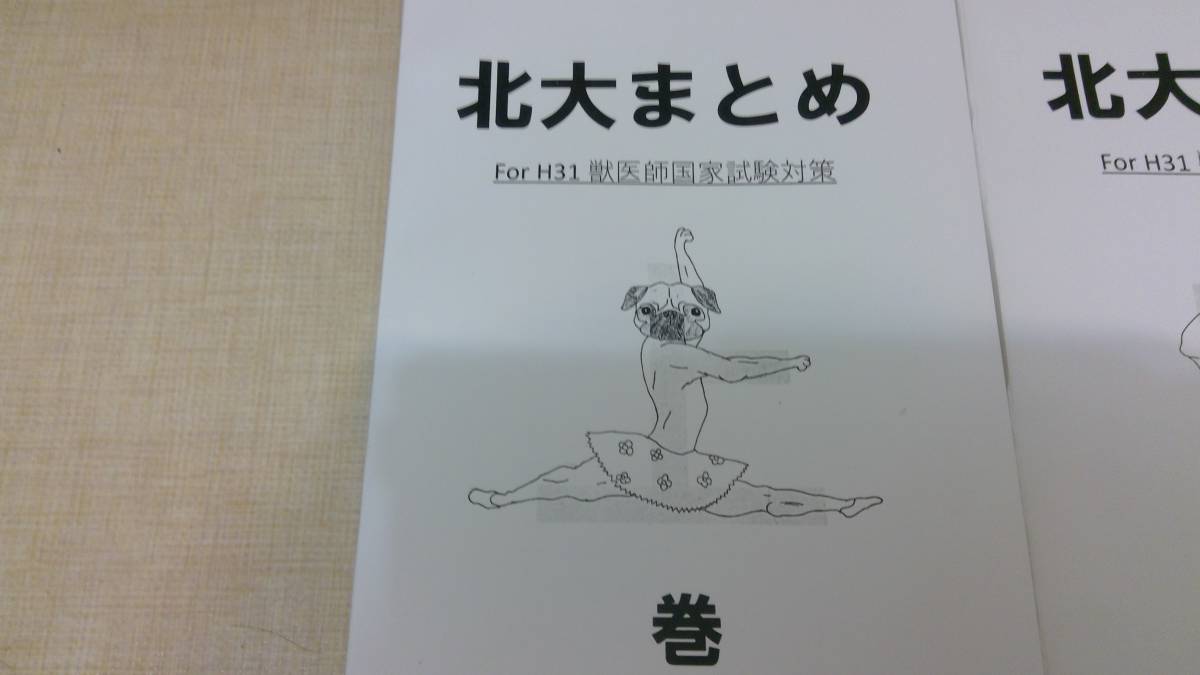 レベルアップのためのまとめ。（獣医 獣医師 国家試験 じゅうい じゅう 