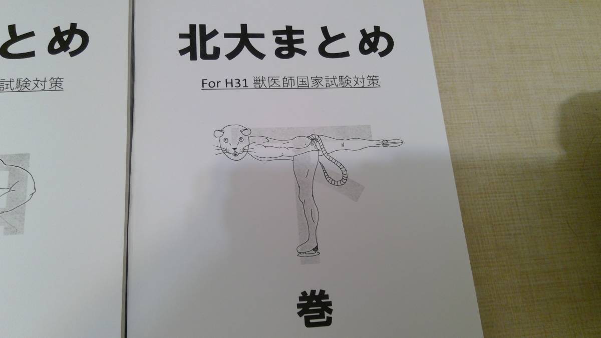 レベルアップのためのまとめ。（獣医 獣医師 国家試験 じゅうい じゅう 