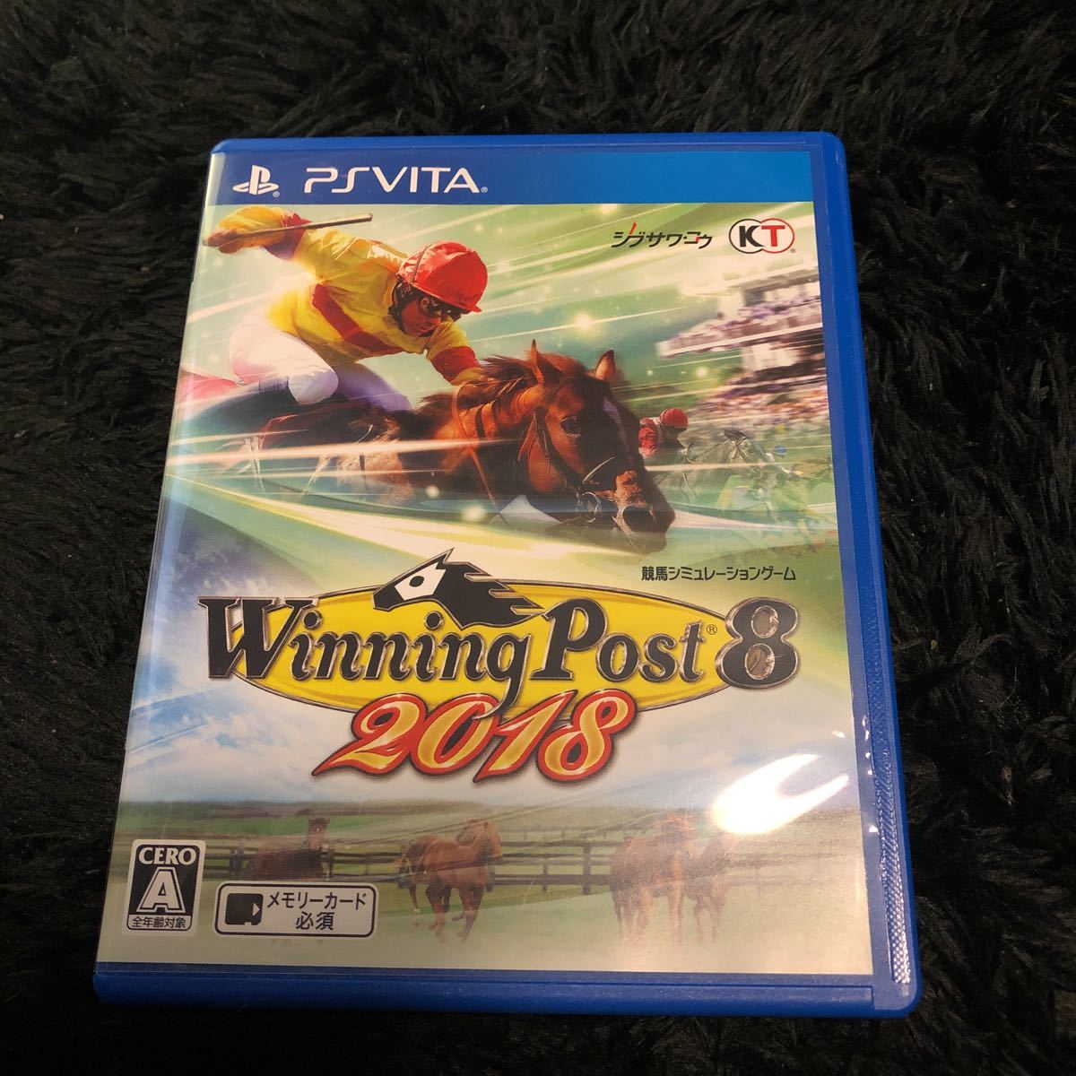 Post Winning 0 | : 1 ゲームソフト ウイニングポスト8 新調教システム 