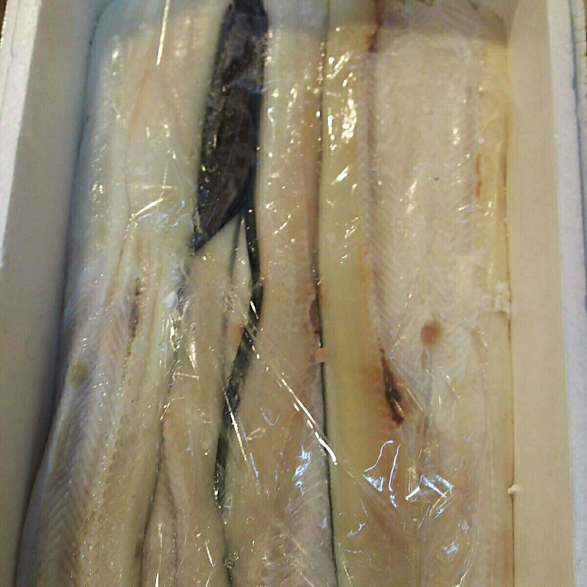 肉厚開きあなご4.4キロ一箱。たっぷり4.4キロ穴子が一箱。穴子の煮付けなどに！