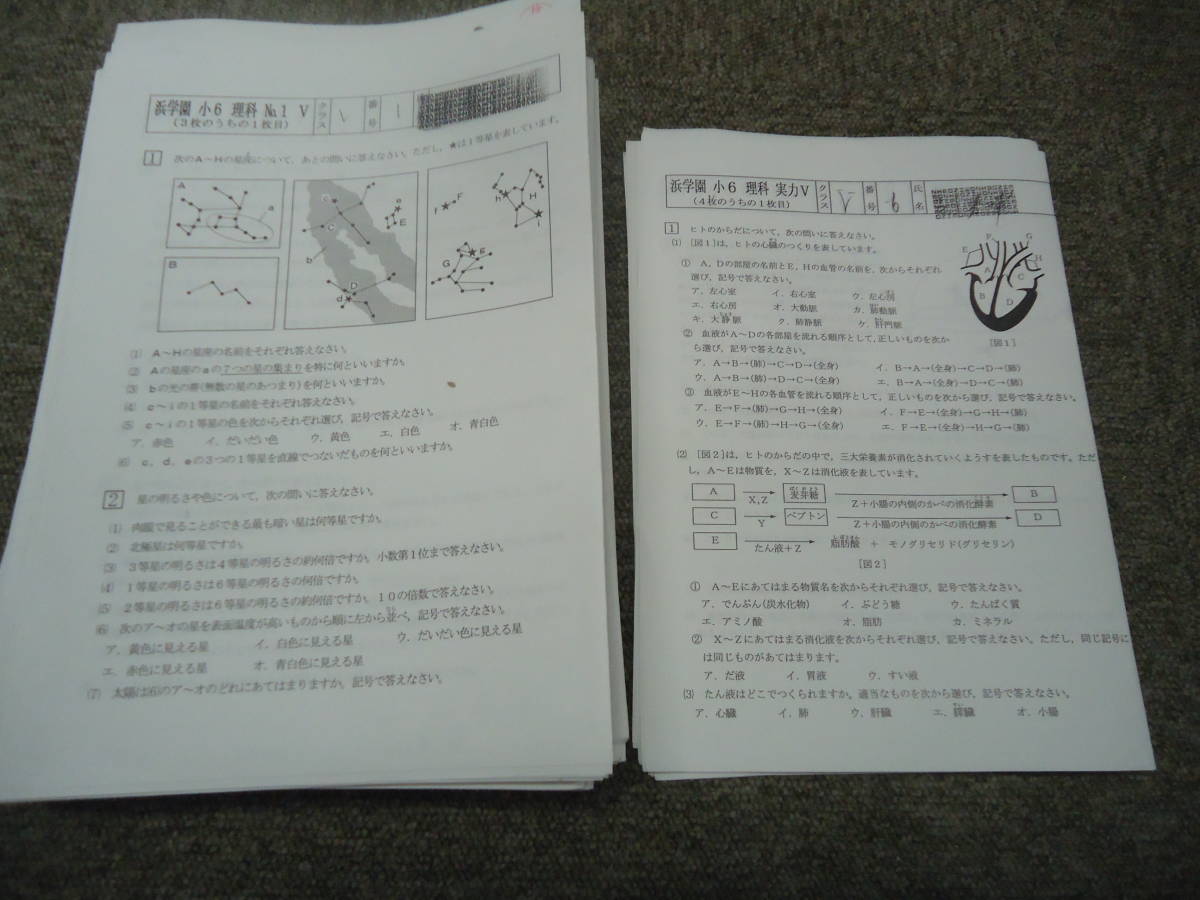 浜学園 復習テスト Vクラス 小6 国語 浜 2025年 理科 算数 4教科