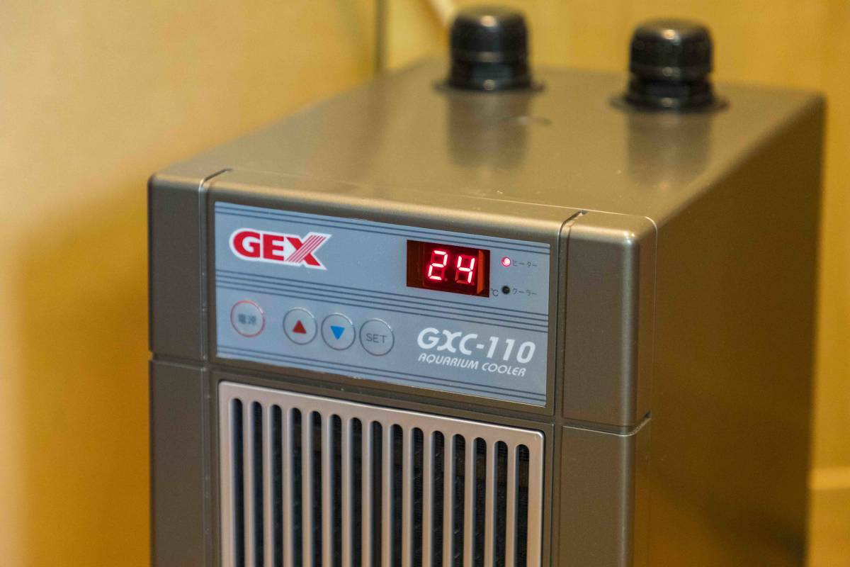 GEX GXC-110 水槽用クーラー GEX ジェックス 観賞魚水槽用クーラー GXC-110 【公式通販】