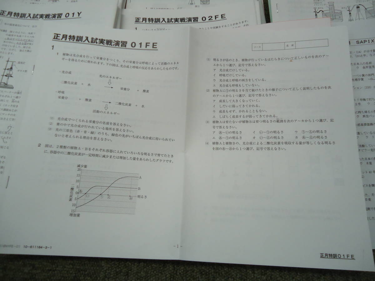 2018年度版 サピックス 志望校別 フェリス（FE)コース SAPIX小学部 