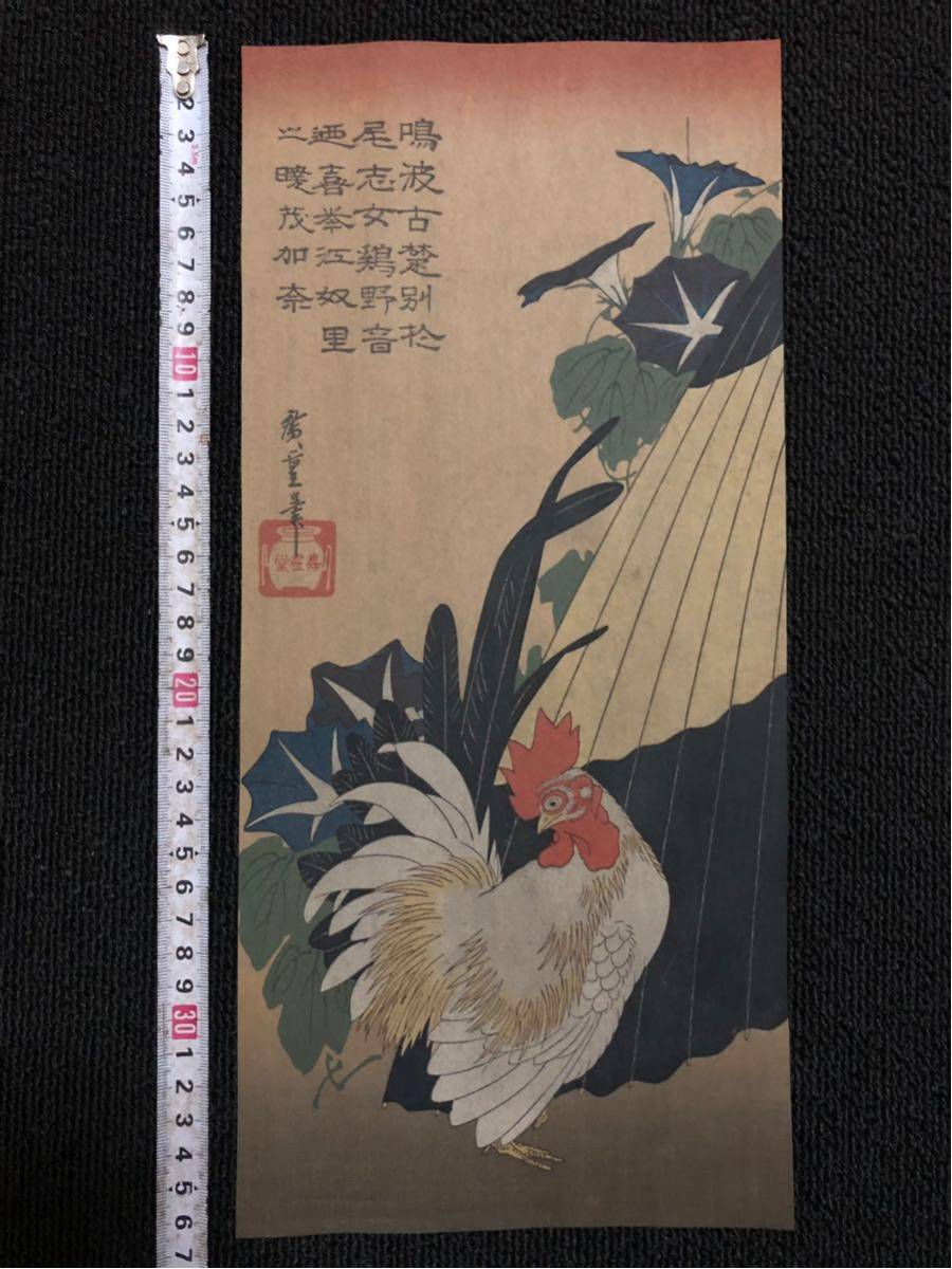 k400360943.1.jpg