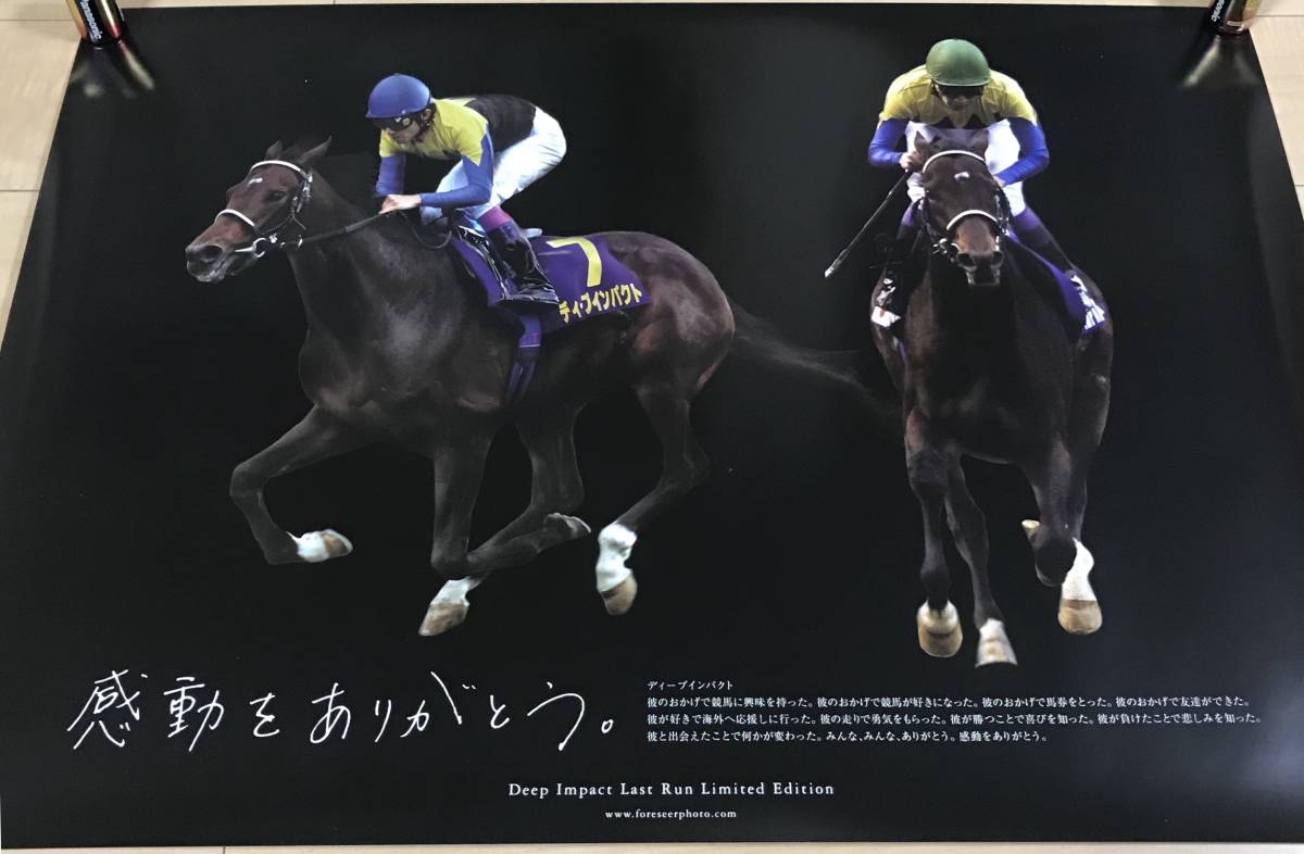 競馬］ ディープインパクト JRA ポスター「感動をありがとう」 A1 競馬